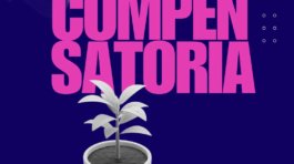 Lista (Post de Instagram (45)) (10)