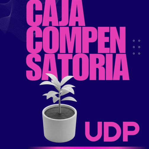 Lista (Post de Instagram (45)) (10)