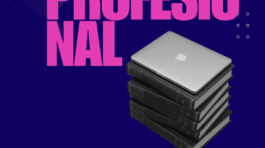 Lista (Post de Instagram (45)) (4)